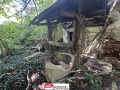 Продава КЪЩА, с. Дъскот, област Велико Търново, снимка 12