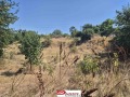 Продава ПАРЦЕЛ, гр. Дряново, област Габрово, снимка 2