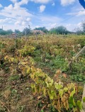 Продава КЪЩА, област Добрич, с. Белгун • 20000 € / 39116.60 лв. • 34397957 6