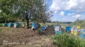 Продава КЪЩА, област Добрич, с. Белгун • 20000 € / 39116.60 лв. • 34397957 4