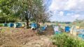 Продава КЪЩА, област Добрич, с. Белгун • 20000 € / 39116.60 лв. • 34397957 14