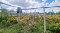 Продава КЪЩА, област Добрич, с. Белгун • 20000 € / 39116.60 лв. • 34397957 13