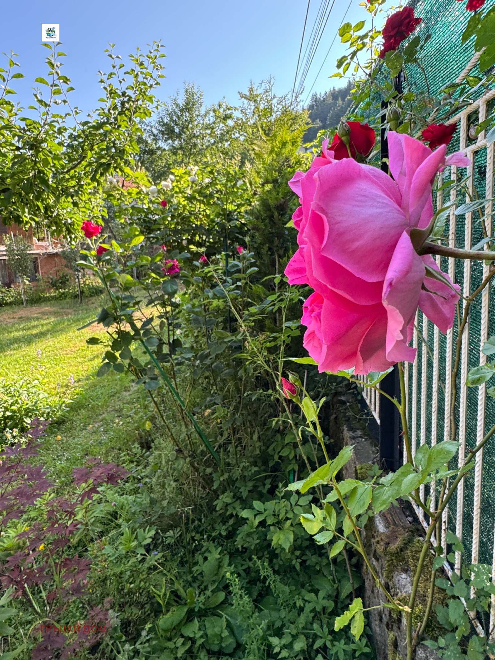 ������� ���� | Imot.bg � ����������� 17