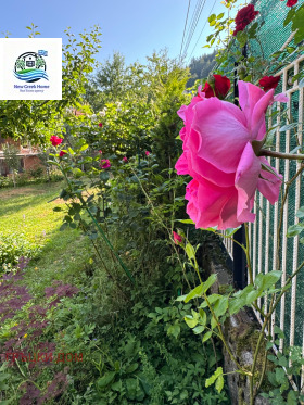 ������� ���� | Imot.bg � ����� ������ 17