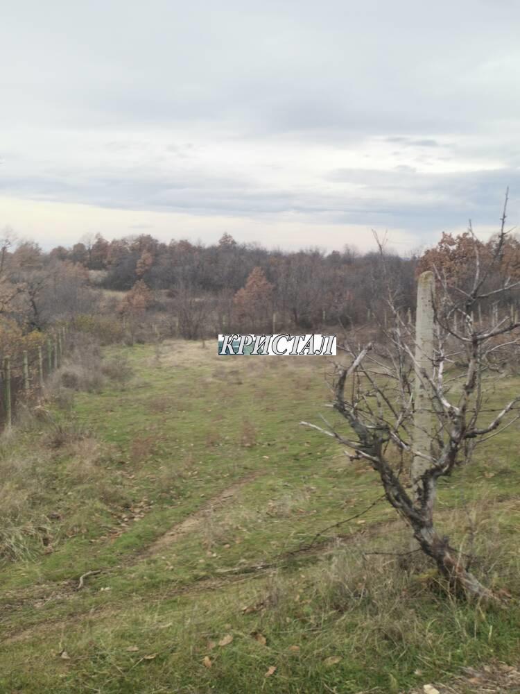 Til salg  Villa region Plovdiv , Begovo , 19 kvm | 78641505 - billede [4]