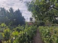 Продава ВИЛА, област Пловдив, гр. Сопот • 63000 € • 25301151 — Holmes.bg