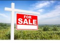 Продава ПАРЦЕЛ, област Добрич, с. Опанец • 13500 лв. / 6902.44 € • 61719272 1