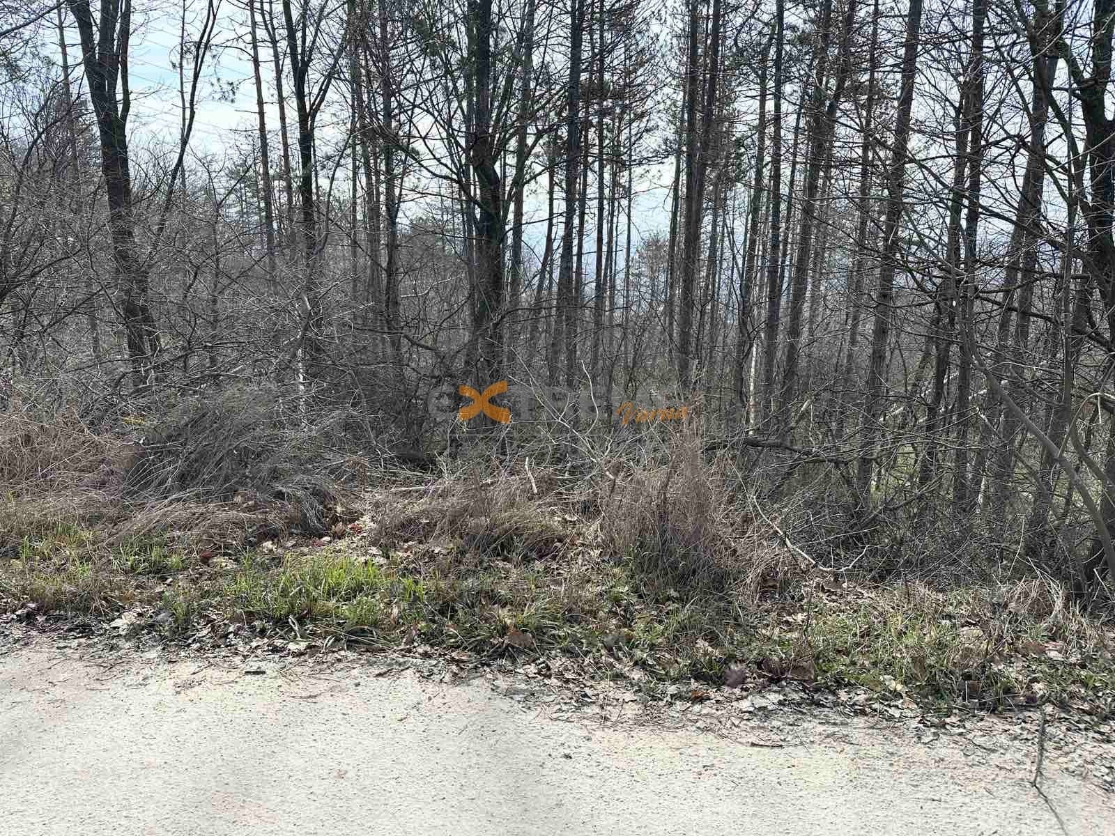 ������� ������ | Imot.bg � ����������� 5