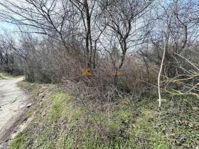 ����� ������� ������,���� �����, �-� �������>