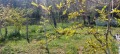 Продава ВИЛА, гр. Варна, м-т Манастирски рид, снимка 5