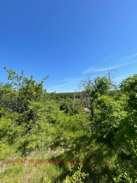 ������� ������ | Imot.bg � ����� ������ 3