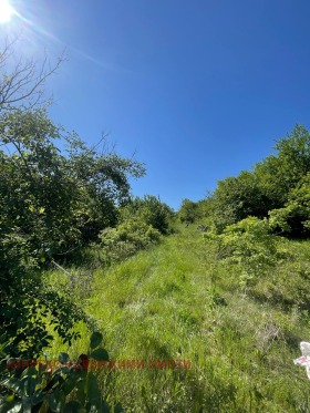 ������� ������ | Imot.bg � ����� ������ 4