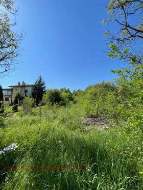 ������� ������ | Imot.bg � ����� ������ 5