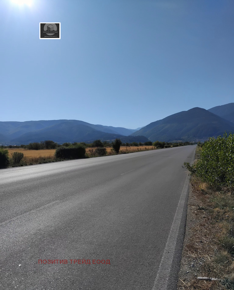 Προς πώληση  Οικόπεδο περιοχή Κιουστεντίλ , Σαπαρεβα βανια , 1150 τ.μ | 92498332 - εικόνα [5]