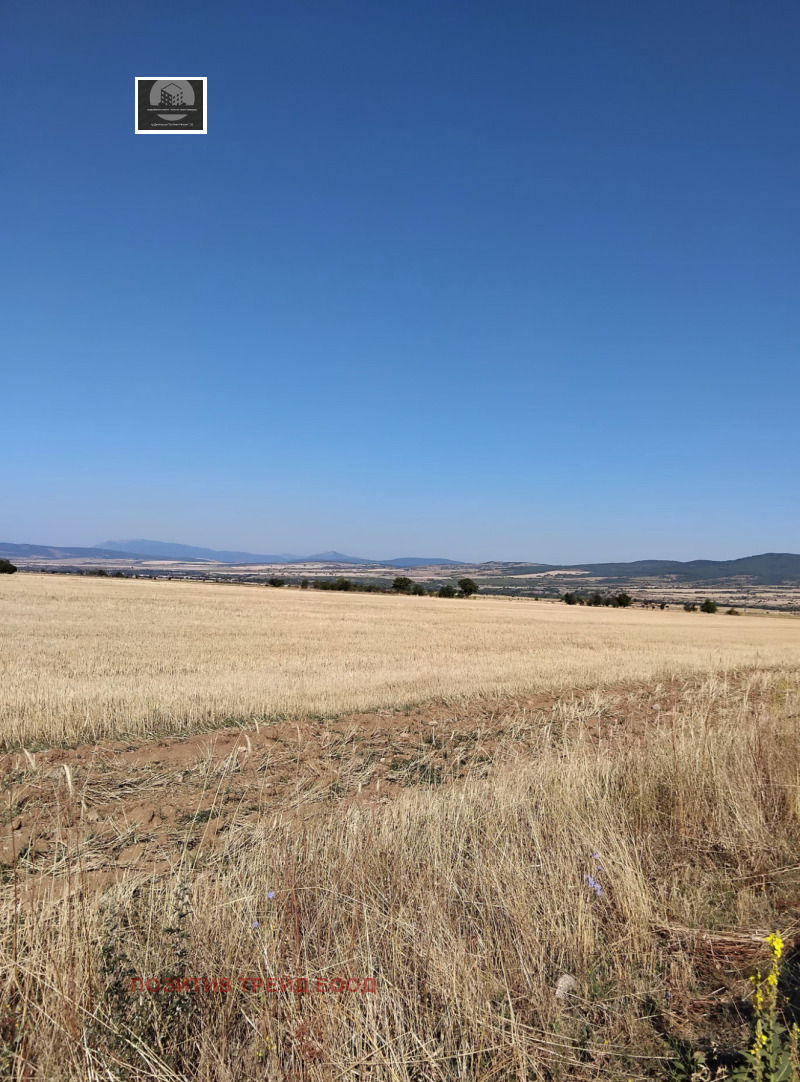 Προς πώληση  Οικόπεδο περιοχή Κιουστεντίλ , Σαπαρεβα βανια , 1150 τ.μ | 92498332 - εικόνα [3]