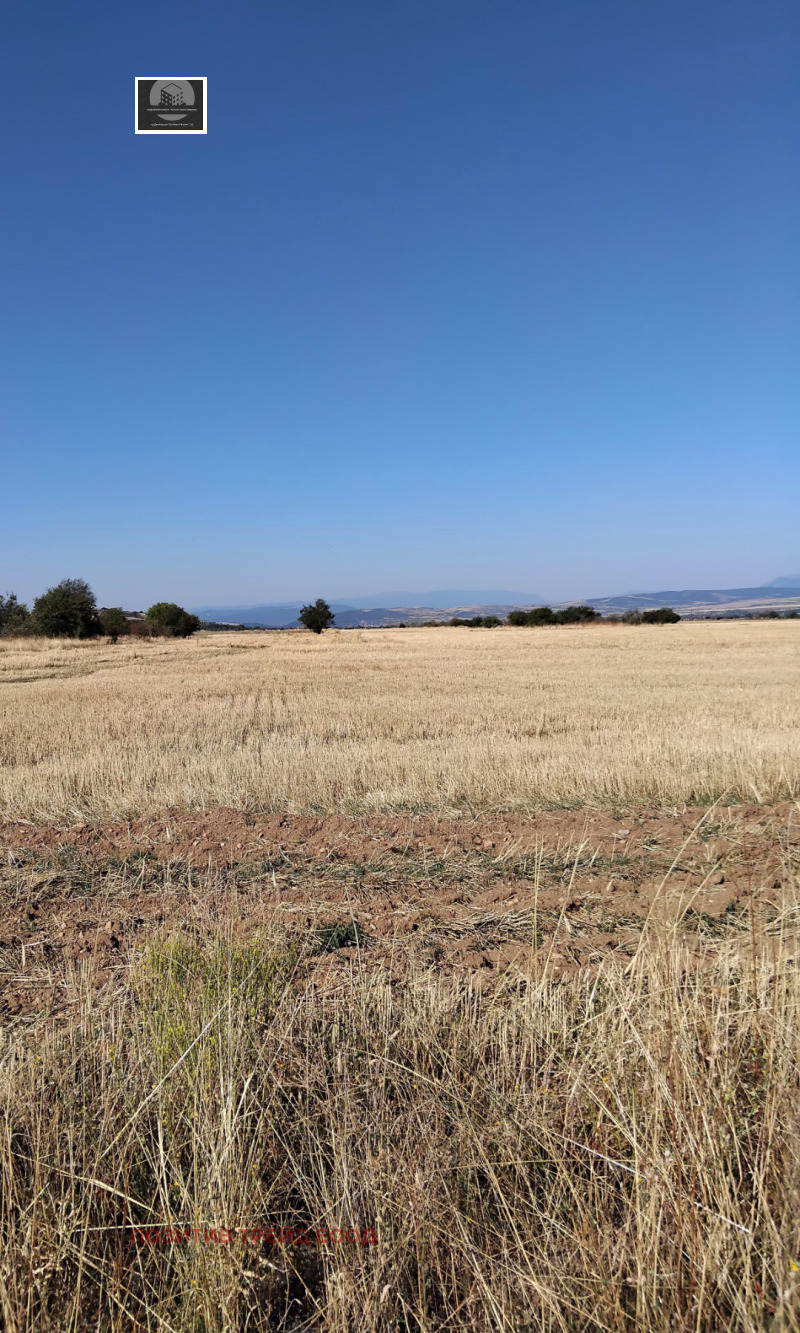 Προς πώληση  Οικόπεδο περιοχή Κιουστεντίλ , Σαπαρεβα βανια , 1150 τ.μ | 92498332 - εικόνα [4]