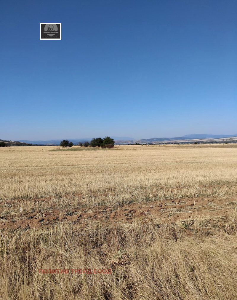 Προς πώληση  Οικόπεδο περιοχή Κιουστεντίλ , Σαπαρεβα βανια , 1150 τ.μ | 92498332 - εικόνα [2]