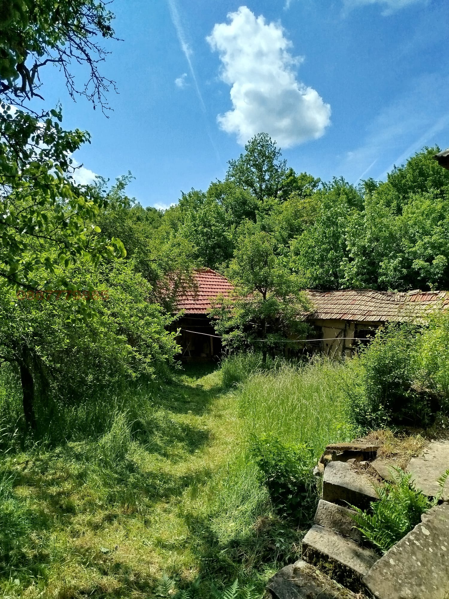 Продава КЪЩА, с. Даевци, област Габрово, снимка 2 - Къщи - 55724428
