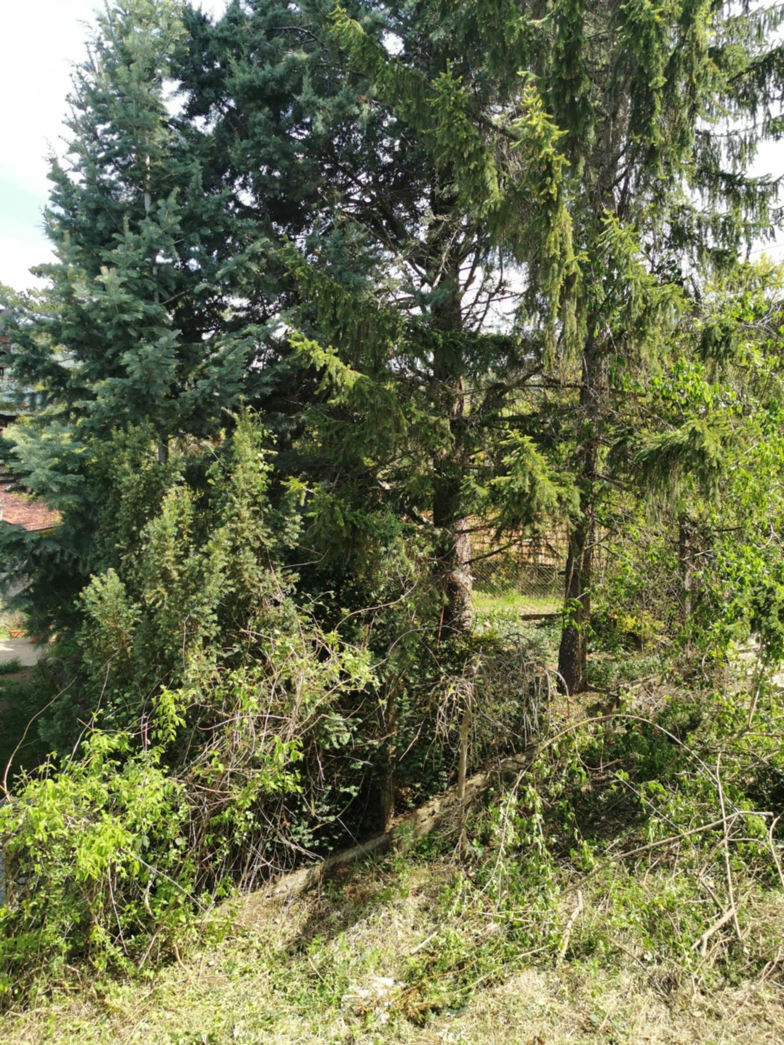 Продава КЪЩА | Imot.bg — изображение 9