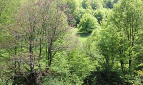 ������� ������ | Imot.bg � ����� ������ 2