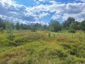 Продава ПАРЦЕЛ, област Монтана, гр. Лом • 33000 лв. / 16872.63 € • 51626345 3