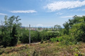 Плот м-т Долна Трака, Варна