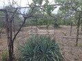Продава КЪЩА, област Търговище, с. Алваново • 85000 лв. • 94869644 — Holmes.bg
