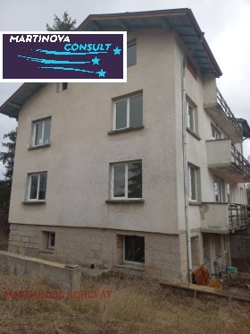 ������ ������� ����