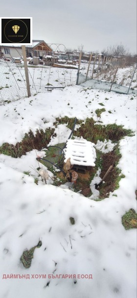 ������ ������� ������