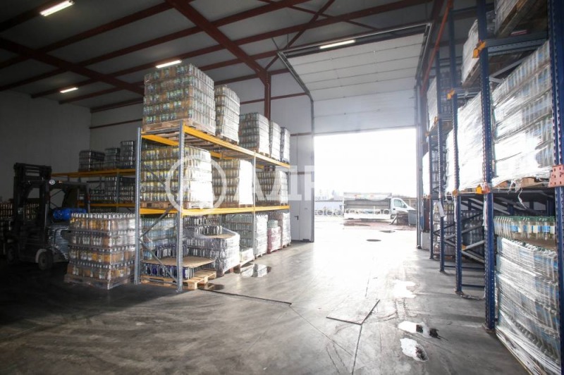 Na sprzedaż  Składowanie region Sofia , Elin Pelin , 3958 mkw | 91354690 - obraz [5]