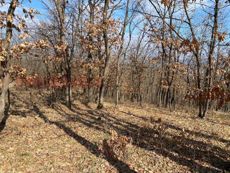 Продава ПАРЦЕЛ, гр. Роман, област Враца, снимка 5 - Парцели - 52785807