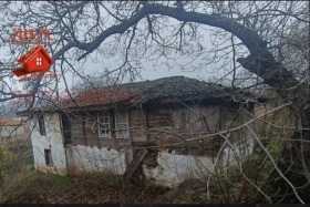 ������ ������� ����