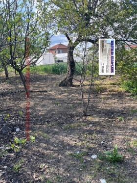 Dům Ivajlo, oblast Pazardzhik 6