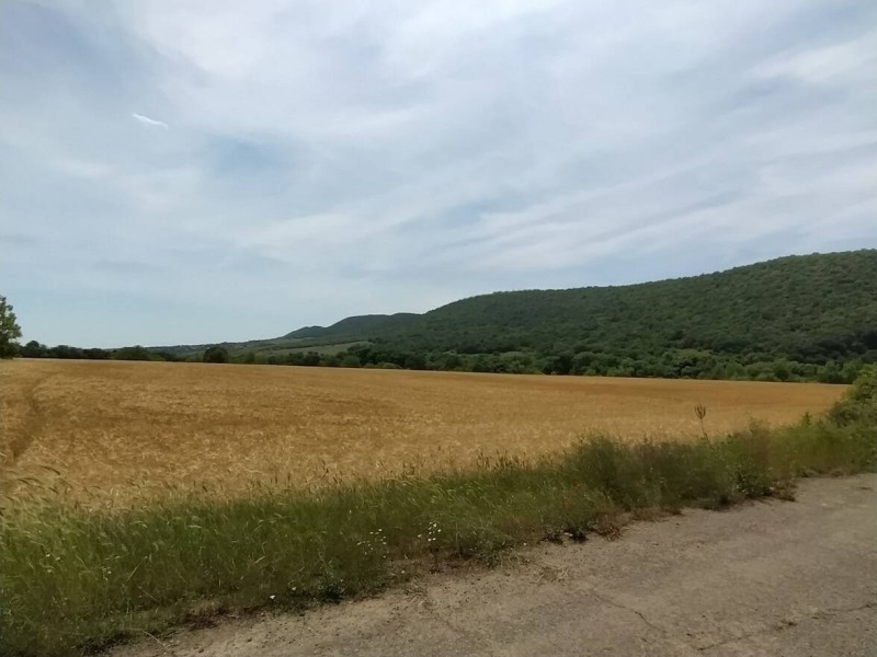 Na prodej  Spiknutí oblast Burgas , Medovo , 19021 m2 | 24845101