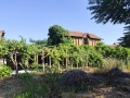 Продава  Къща област Плевен , с. Горни Дъбник , 90 кв.м | 20719171 - изображение [6]