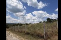 Продава ПАРЦЕЛ, с. Здравец, област Варна, снимка 1