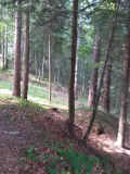 Продава  Вила област Пазарджик , гр. Пещера , 88 кв.м | 78636568 - изображение [10]