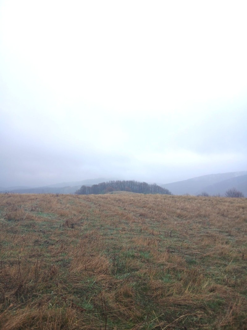 Продава ПАРЦЕЛ, гр. София, с. Железница, снимка 3 - Парцели - 52687212