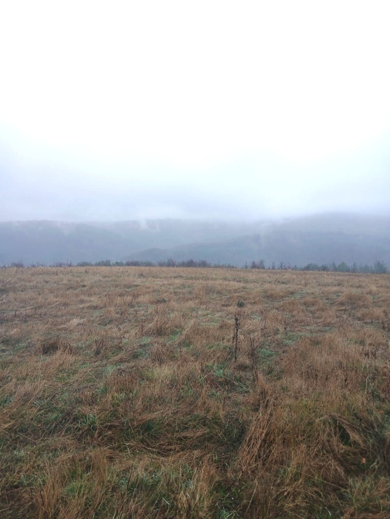 Продава ПАРЦЕЛ, гр. София, с. Железница