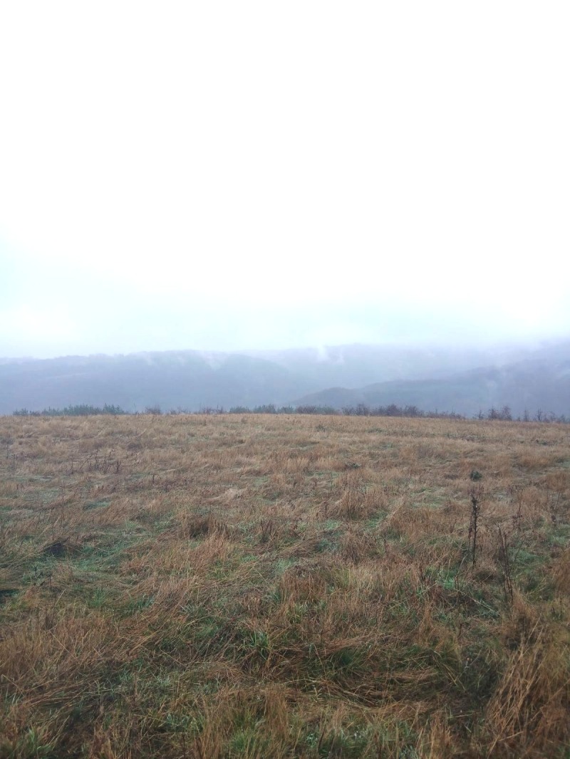 Продава ПАРЦЕЛ, гр. София, с. Железница, снимка 2 - Парцели - 52687212