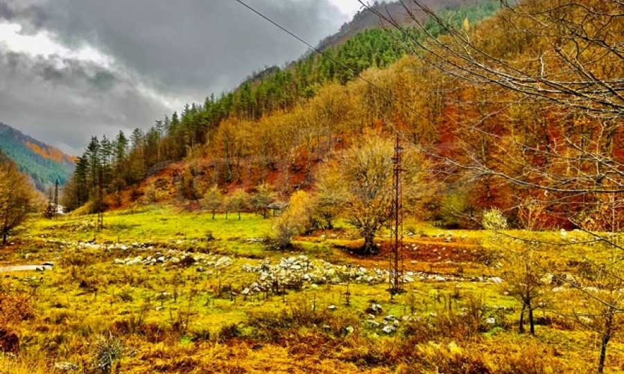 Продава ПАРЦЕЛ, с. Рибарица, област Ловеч, снимка 2 - Парцели - 45856008