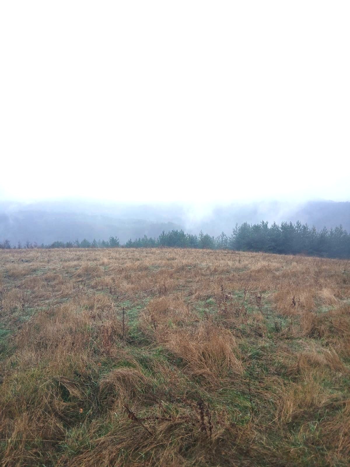 Продава ПАРЦЕЛ, гр. София, с. Железница, снимка 2 - Парцели - 52687212