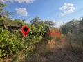 Продава  Къща област Шумен , с. Хитрино , 180 кв.м | 15169583 - изображение [6]