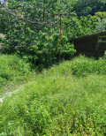Продава КЪЩА, с. Пастра, област Кюстендил, снимка 3