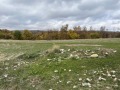 Продава ПАРЦЕЛ, област София, с. Заселе • 55000 лв. / 28121.05 € • 15313959 5