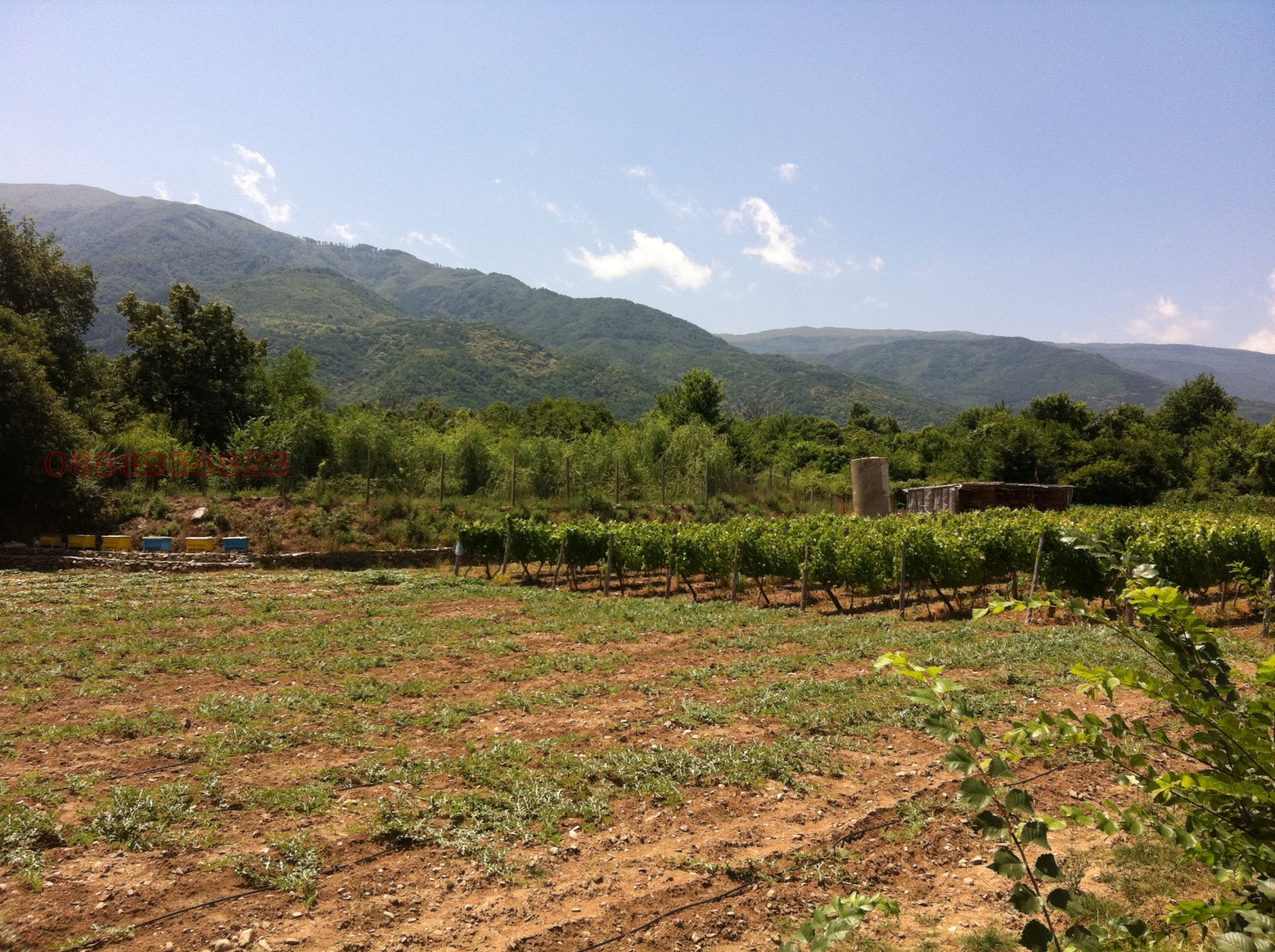 Продава ПАРЦЕЛ, с. Беласица, област Благоевград, снимка 14 - Парцели - 53958638