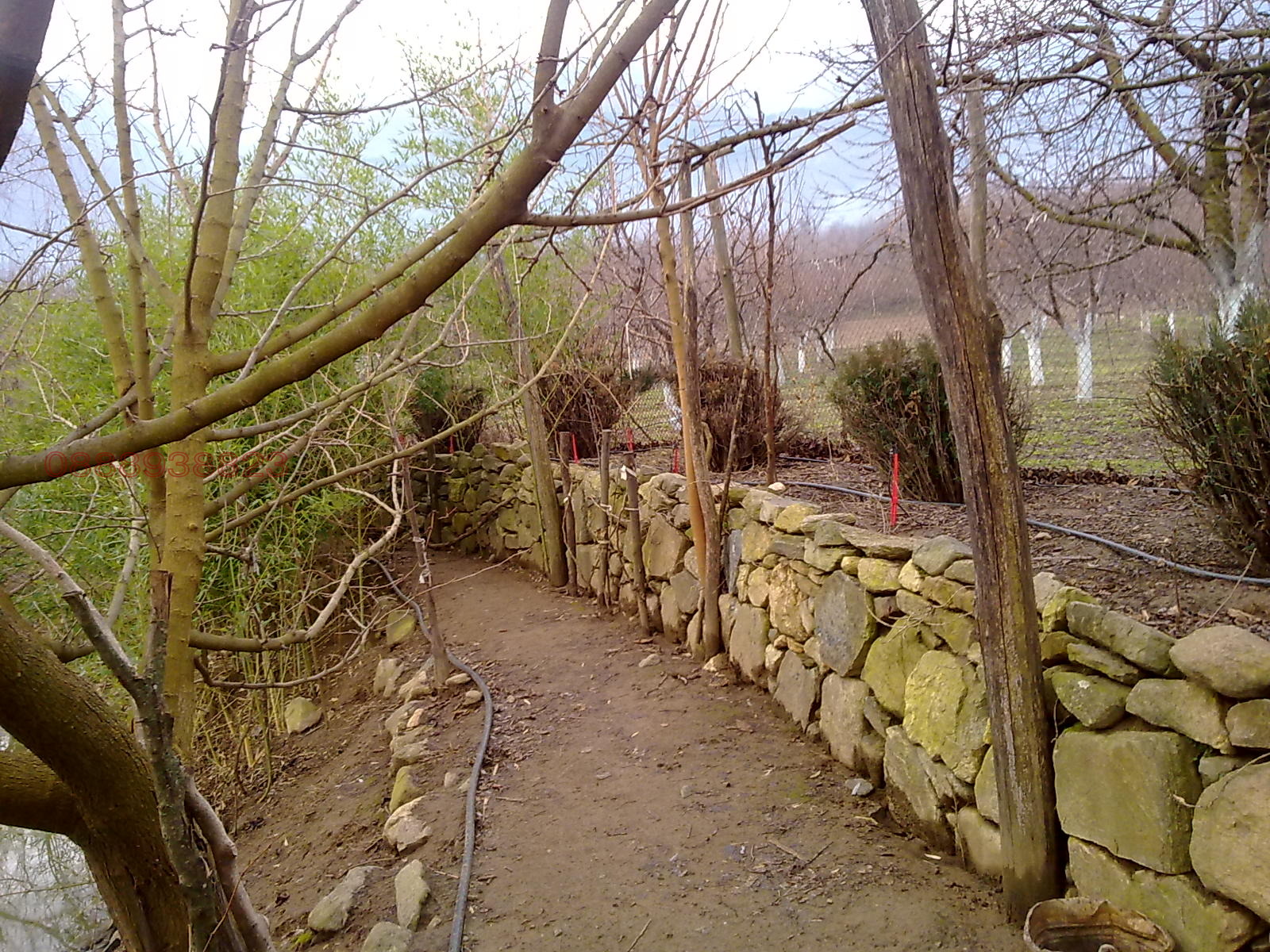 Продава ПАРЦЕЛ, с. Беласица, област Благоевград, снимка 8 - Парцели - 53958638