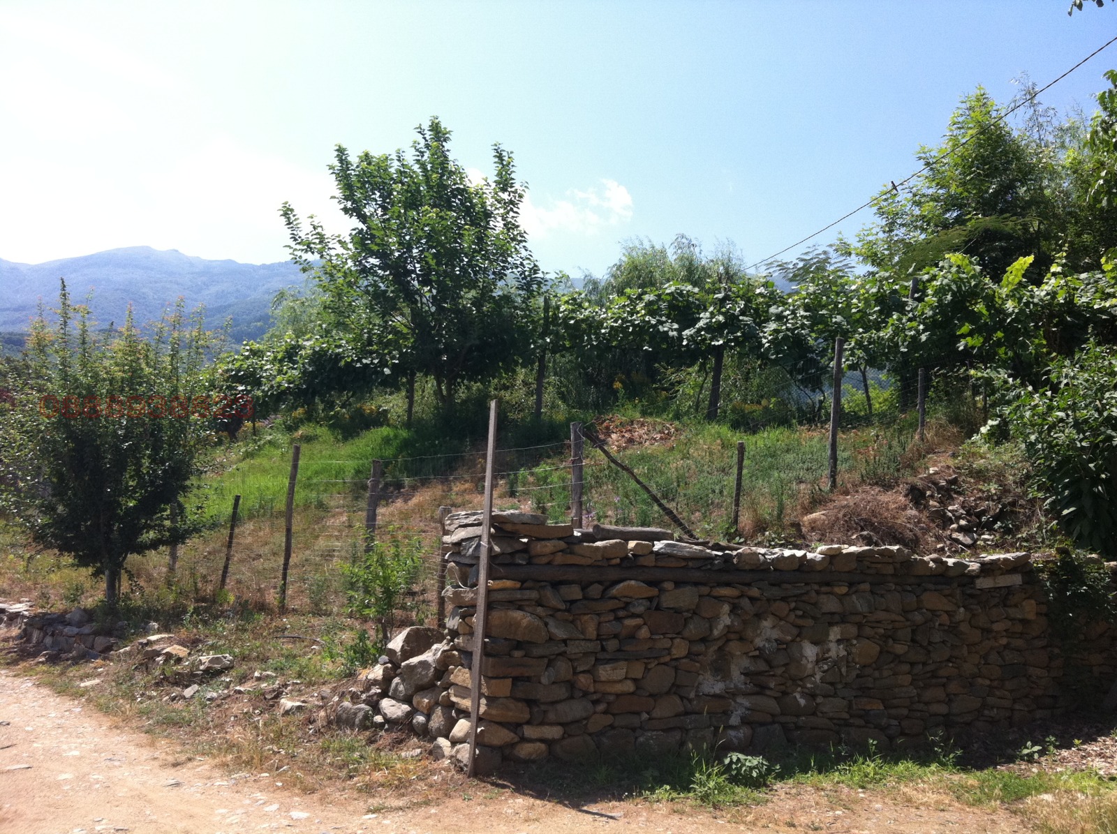 Продава ПАРЦЕЛ, с. Беласица, област Благоевград, снимка 12 - Парцели - 53958638