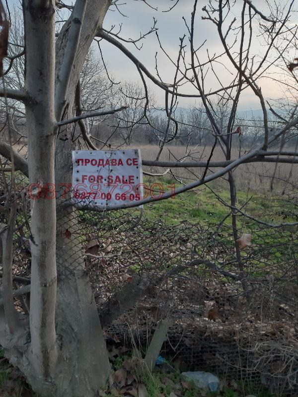 Продава ПАРЦЕЛ, с. Браниполе, област Пловдив, снимка 11 - Парцели - 53931333
