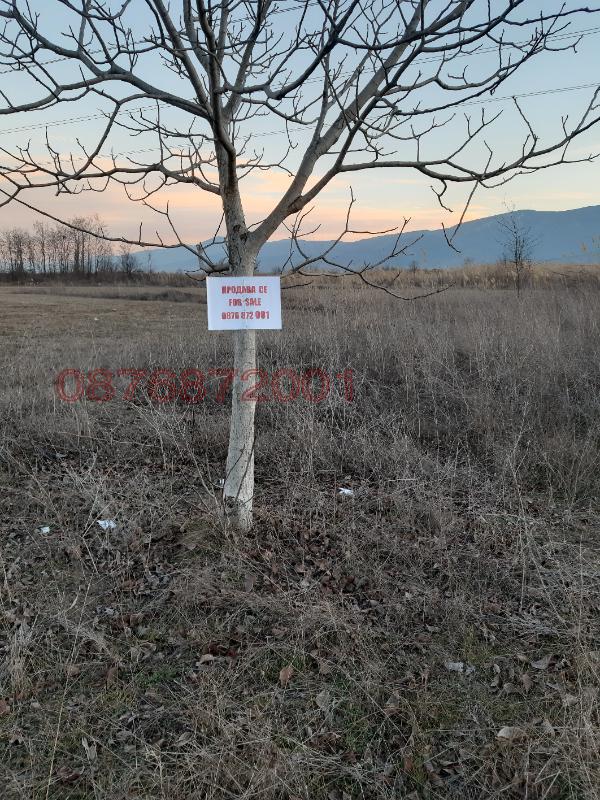 Продава ПАРЦЕЛ, с. Браниполе, област Пловдив, снимка 8 - Парцели - 53931333